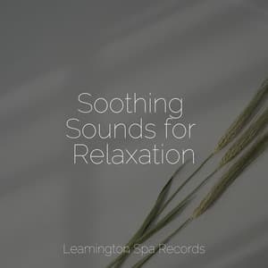 Soothing Sounds for Relaxation - Ambient Music Therpy