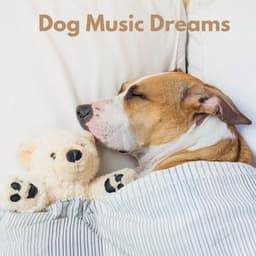 Dog Music Dreams - Relax My Dog Music