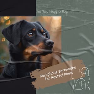 Saxophone Serenades for Restful Paws - Jazz Music Therapy for Dogs