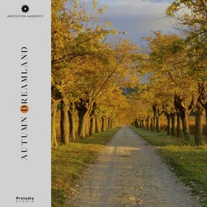 Autumn Dreamland - Meditation Ambience