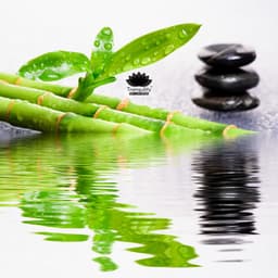 I Surrender to Deep Relaxation - Tranquility Spa Universe