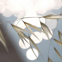 Feelings for Refreshing and Inspired - Jazz for Tea and Coffee