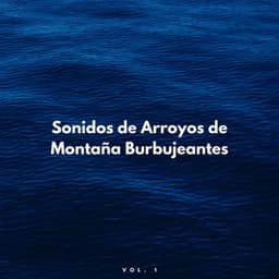 Sonidos De Arroyos De Montaña Burbujeantes Vol. 1 - Biblioteca XLE de sonidos de la naturaleza