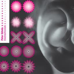 Electrochronicle - Peter Eötvös