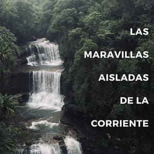 Las Maravillas Aisladas De La Corriente - Naturaleza Soundzzz Club