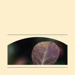 Music - Self Care Days - Cheerful Instrumental Cafe Jazz