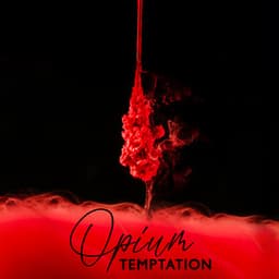 Opium Temptation: Kamasutra Experience, Smooth and Sexy India Chillout - Buddha’s Zone