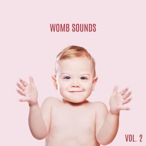 Womb Sounds, Vol. 2 , Life in the Womb and Connection with Mother, Sounds Among the Uterus, The First Sounds of a Baby in the Womb - Little Baby Universe