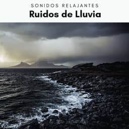 2022 Ruidos de Lluvia - Academia de Música con Sonidos de la Naturaleza