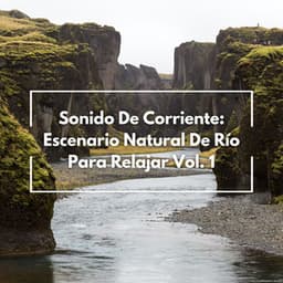 Sonido De Corriente: Escenario Natural De Río Para Relajar Vol. 1 - Ruido y Naturaleza