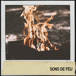 Sons de feu : feu d'ambiance pour des moments zen - Música Relajante Para Leer