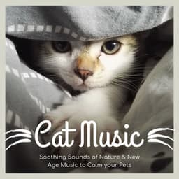 Cat Music: Soothing Sounds of Nature & New Age Music to Calm your Pets - Pet Therapy