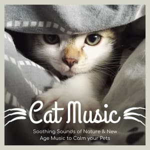 Cat Music: Soothing Sounds of Nature & New Age Music to Calm your Pets - Pet Therapy