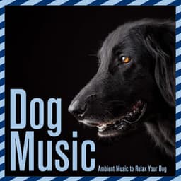 Dog Music: Ambient Music to Relax Your Dog - Relax My Puppy