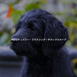 パウジティブリー・リラクシング・サウンドスケープ - Chilled Morning Music