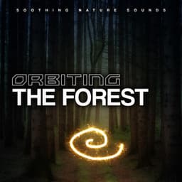 Orbiting the Forest - Soothing Nature Sounds