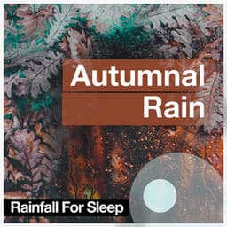 Autumnal Rain - Rainfall For Sleep