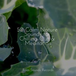 50 Calm Nature Sounds for Chilling Out & Meditation - White Noise Therapy