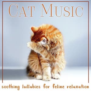Cat Music: Soothing Lullabies for Feline Relaxation - Cat Music