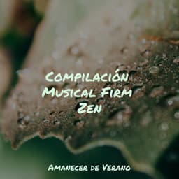Compilación Musical Firm Zen - Musica para Meditar