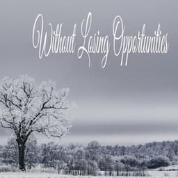 Without Losing Opportunities - Sleeping Music