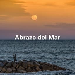 Abrazo del Mar - Musica Para Dormir