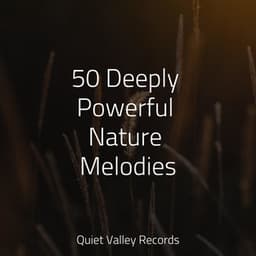 50 Deeply Powerful Nature Melodies - Pro Sounds of Nature