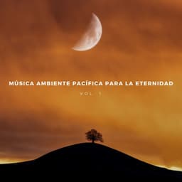 Música Ambiente Pacífica Para La Eternidad Vol. 1 - Musica romantica para sexo