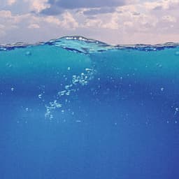 1 Coastal Night: Sleep Seashell Sonata - Ocean Sounds