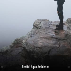 !!!!" Restful Aqua Ambience "!!!! - Sonidos De Truenos y Lluvia
