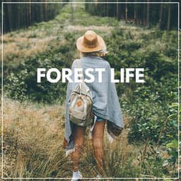 Forest Life - Sounds of Nature Noise
