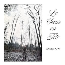 Le cœur en fête - André Popp