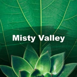 Misty Valley - Best of Mother Nature Sounds