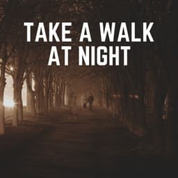 Take a Walk At Night - Wildlife Sound Recordings