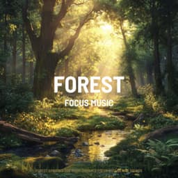 Forest Ambience for Work: Enhance Focus with Nature Sounds - Focus Music
