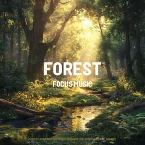 Forest Ambience for Work: Enhance Focus with Nature Sounds - Focus Music