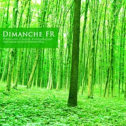Classic Collection to Feel the Breath of Nature - Dimanche FR