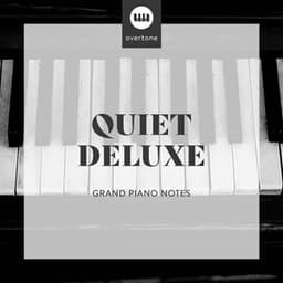 Quiet Deluxe Grand Piano Notes - Relaxing Chill Out Music