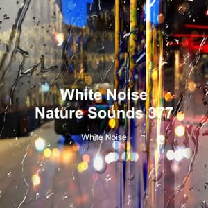 White Noise 377 - White Noise