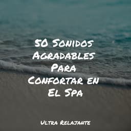 50 Sonidos Agradables Para Confortar en El Spa - Musica para Meditar