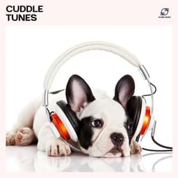 Cuddle Tunes - Relax My Pet