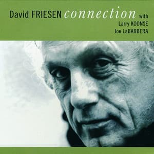David Friesen: Connection - David Friesen