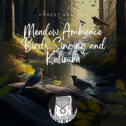 Meadow Ambience Birds Singing and Kalimba - Forest Kalimba