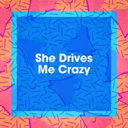 She Drives Me Crazy - Top 40 Hits