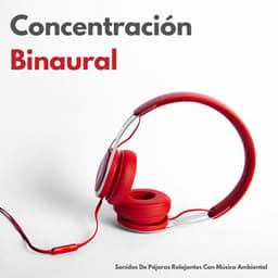 Concentración Binaural: Sonidos De Pájaros Relajantes Con Música Ambiental - Sonidos De Pajaros
