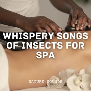 Nature Sounds: Whispery Songs of Insects for Spa - Forest Crickets