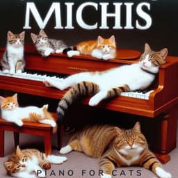 Michis - Piano for cats