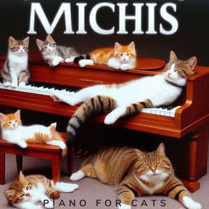 Michis - Piano for cats