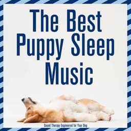 The Best Puppy Sleep Music : Sound Therapy Engineered for Your Dog - Dog Music Dreams