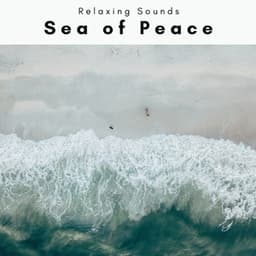 1 Sea of Peace - Waves Hard